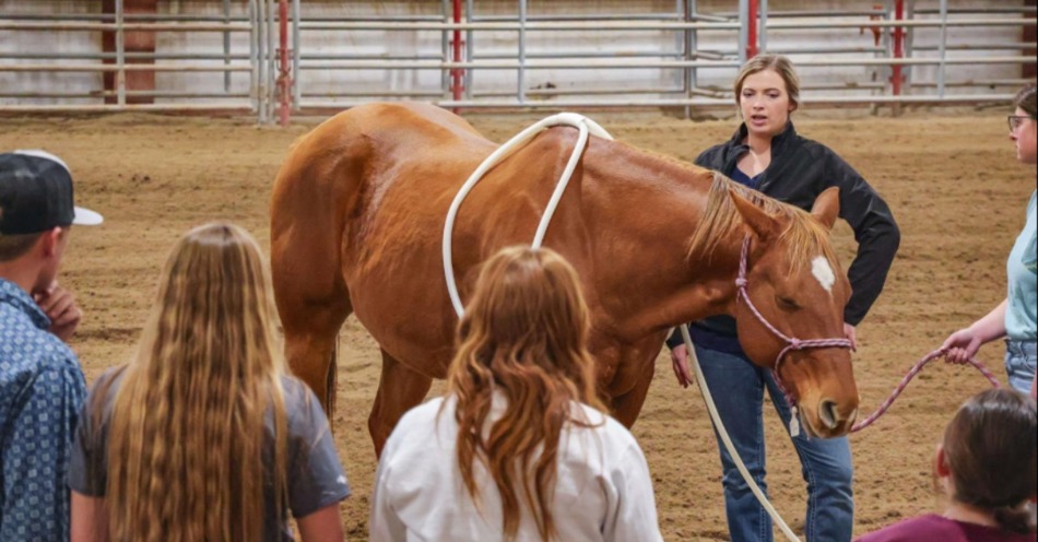 NCTA Welcomes Alumna Hanna Rainforth for Equine Sports Therapy Demo and Marketing Discussion 