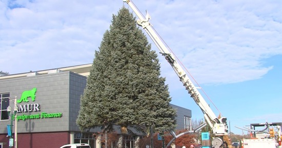 Railside Christmas Tree Transported to Amur Plaza