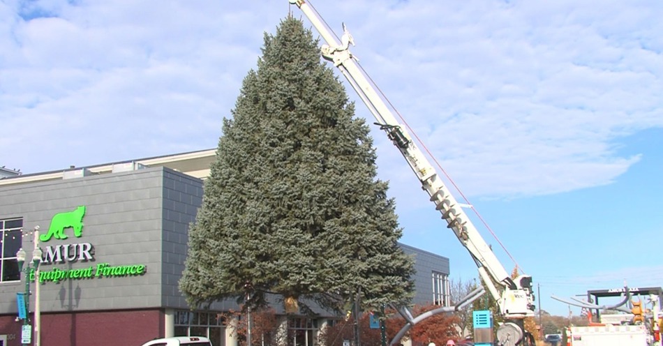Railside Christmas Tree Transported to Amur Plaza