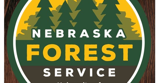 Communities Urged to Prioritize Watering Trees Amid Ongoing  Drought Conditions in Nebraska