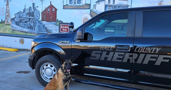 Courtesy/Hall County Sheriff's Office