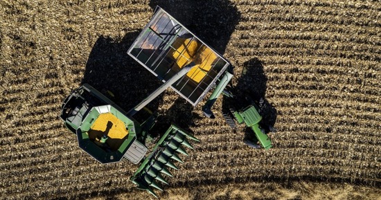 Research shows risk‑averse producers sell earlier in grain marketing year