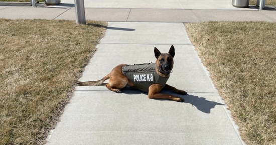 Grand Island Police Department’s K9 Mando has received donation of body armor