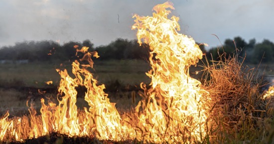 Grand Island Fire Department Announces Spring Restrictive/Open Burn Period