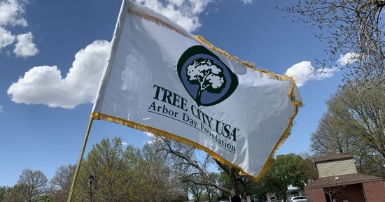 City of Hastings Celebrates Arbor Day