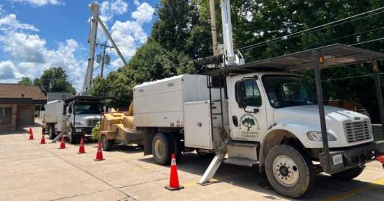 Hastings Utility Department tree-trimming to begin next week
