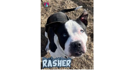 Rasher Featured at CNHS