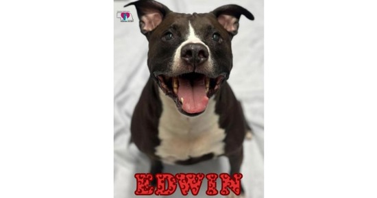 CNHS Features Edwin