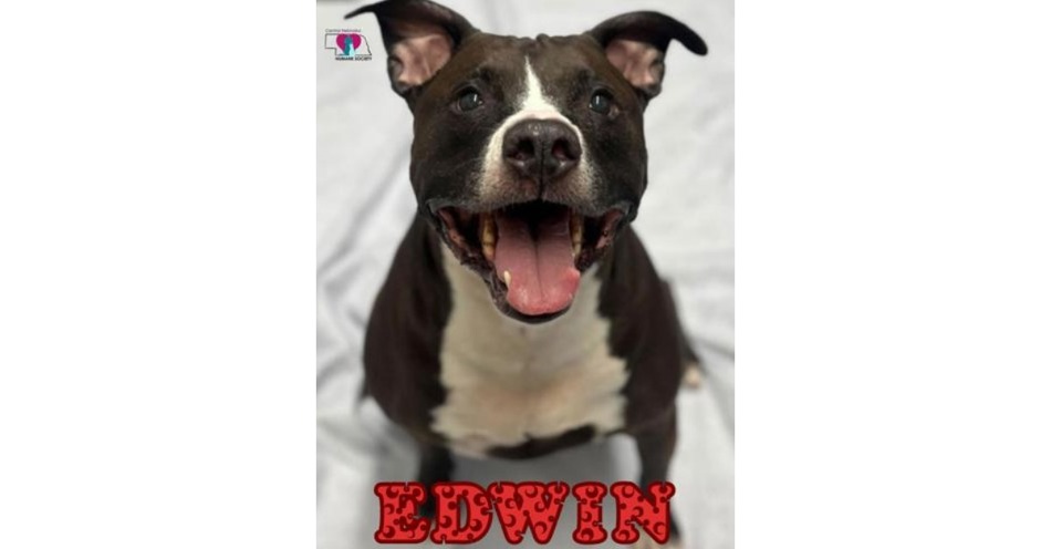 CNHS Features Edwin