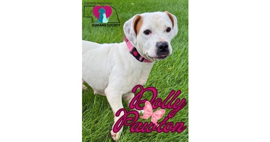 CNHS Features Dolly 'Pawton'