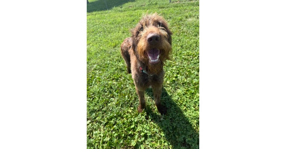 CNHS Features Clyde