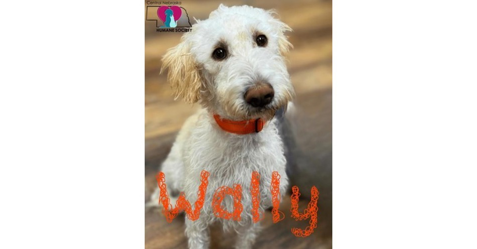 Central Nebraska Humane Society Features Wally