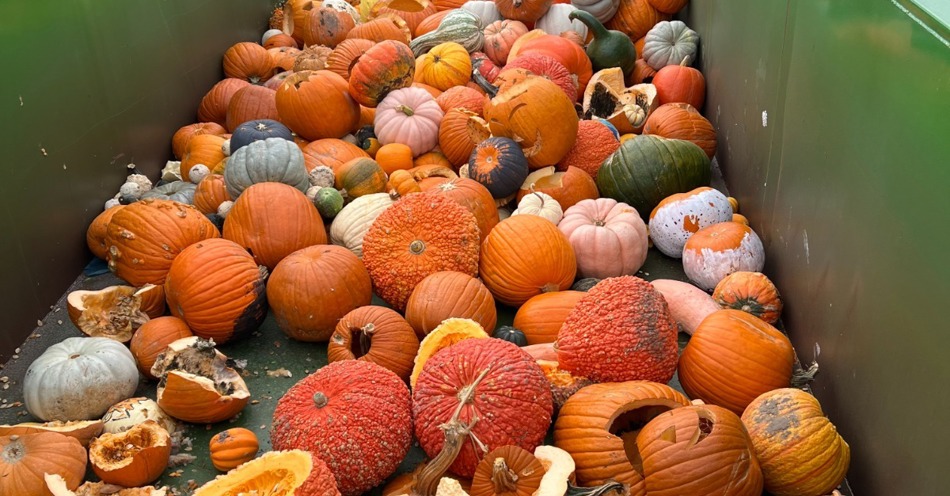 Pumpkin Compost Collection is returning to Hastings