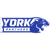 York University JV,Panthers Mascot