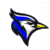 Norton,Bluejays Mascot